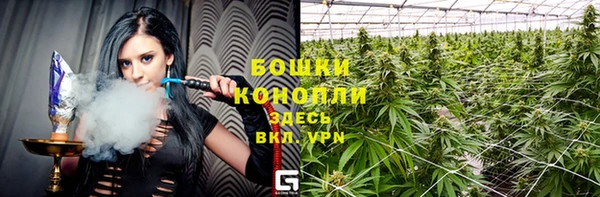 амф Россошь