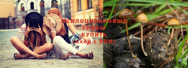 2c-b Одинцово